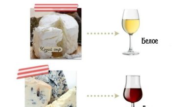 Photo of «Вино и сыр: идеальное сочетание»