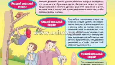 Photo of Учет возрастных и физиологических особенностей ребенка